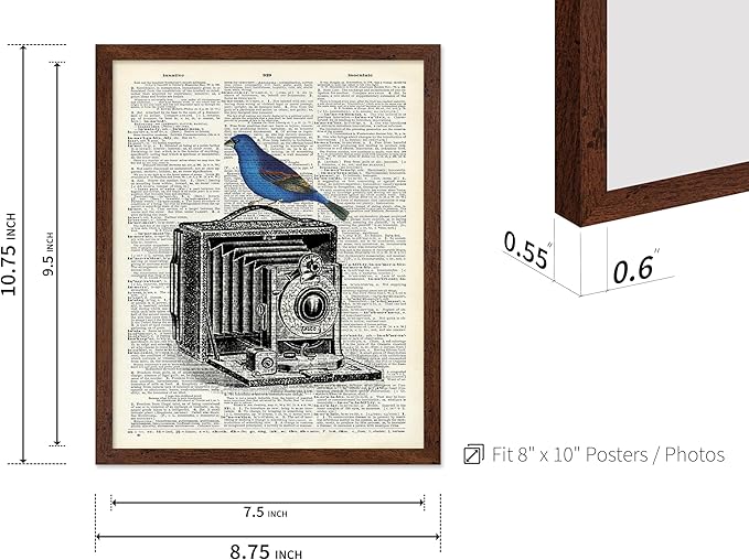 Poster Master Dictionary Art Poster - Antique Camera Print - Bird Art - Photography Art - Gift for Men, Women & Photographer - Chic Decor for Living Room, Bedroom or Office, 8x10 Brown Framed