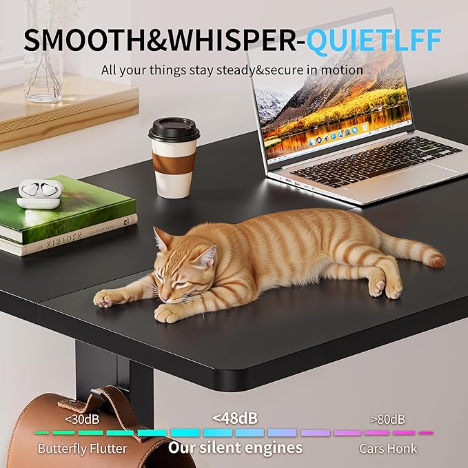 BIZUM Electric Standing Desk, 55" x 24" Height Adjustable Desk, Black Sit to Stand Desk Memory Gaming Computer Workstation for Home Office