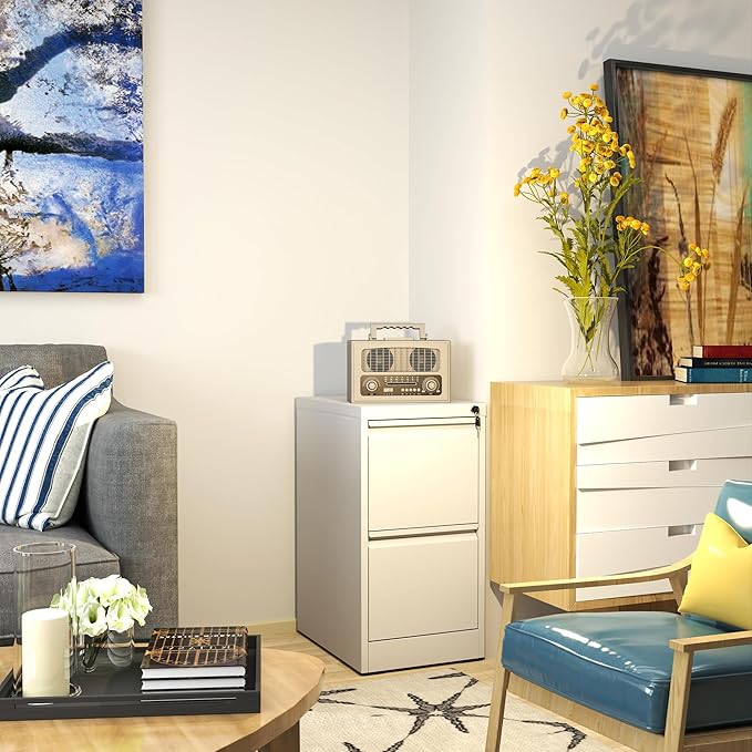 AQY File Cabinet with Lock, Metal Filing Cabinets for Home Office, 18" Deep Vertical Storage Drawer for Hanging A4/Letter/Legal Size Files, Assembly Require(White, 2 Drawers)