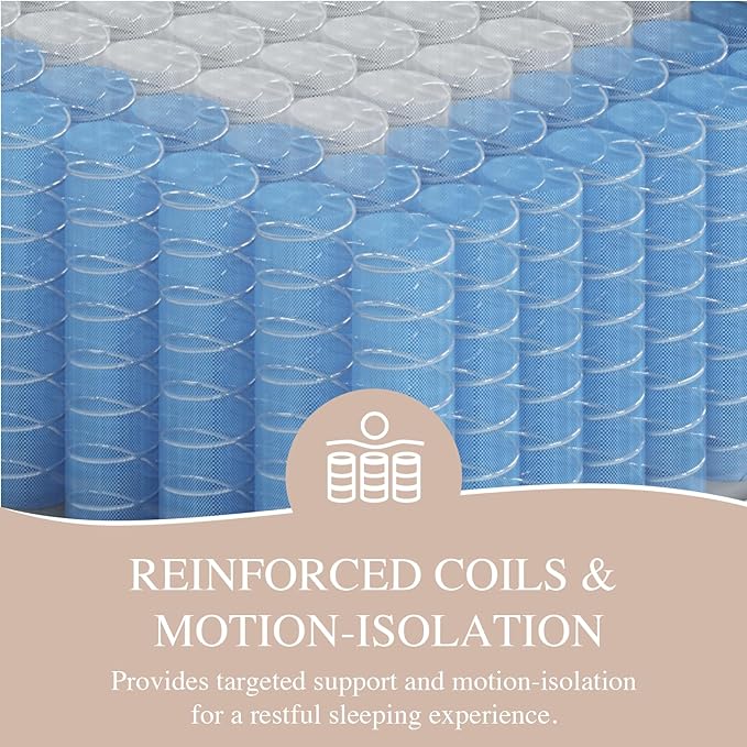 Sleepmax Plush Queen Mattress 12 Inch - Hotel-Collection Hybrid Mattress Extra Lumbar & Hip Support - Deep Sleep Bed in a Box Pain Relief - Fiberglass-Free, CertiPUR-US Certified, 365-Night Trial