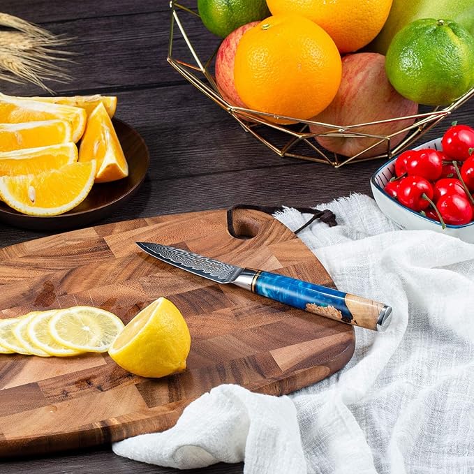 Paring Knife 3.5 Inch Damascus Paring Knife Small Fruit Knife Ultra Sharp Damascus VG10 Core Steel with 66 Layers High Carbon Steel Classical Pattern Blue Handle Unique Gifts with Gift Box