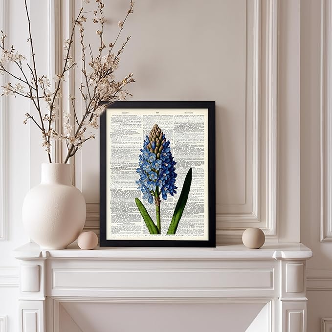 Poster Master Dictionary Art Poster - Blue Hyacinth Print - Flower Art - Floral Art - Gift for Men, Women & Florist - Minimal Decor for Bedroom, Office, Dorm or Flower Shop, 8x10 Black Framed