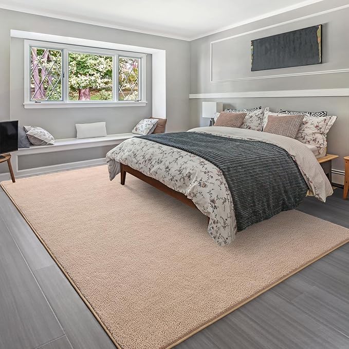 Soft Rugs for Living Room 4x6 Beige, Minimalist Area Rug for Bedroom Nursery Dining Table Dorm, Throw Rugs for Men Boys Girls Kids Room Indoor Floor Carpets