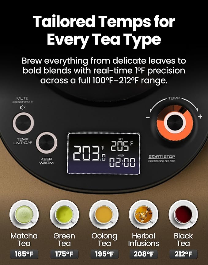 Vianté Electric Gooseneck Kettle with Precise Temperature Control. Pour Over Coffee & Tea Kettle. Boil-Dry Protection & Keep Warm Function. Stainless Steel, BPA-Free. Includes V60#2 Filters. 0.8L