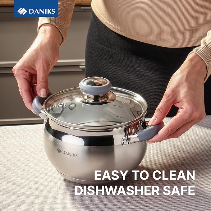 Daniks Modern Stainless Steel Stock Pot with Glass Lid - Induction 2 Quart, Dishwasher Safe, Heatproof Handles, For Soup, Pasta, Stew, Silver