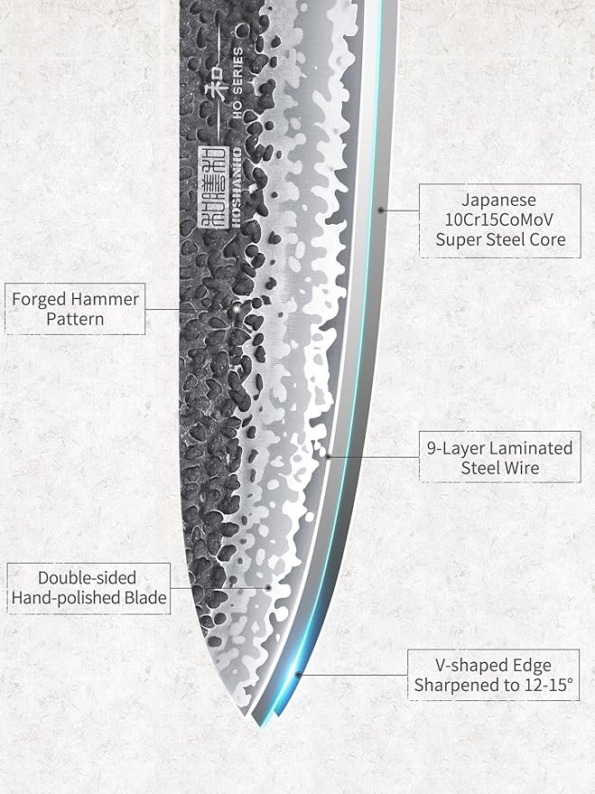 8 Inch Japanese Gyuto Chef Knife, 9 Layers 10Cr15CoMoV High Carbon Steel Kitchen Knife, Professional Hand Forged Cooking Knife with Ergonomic Rosewood Handle