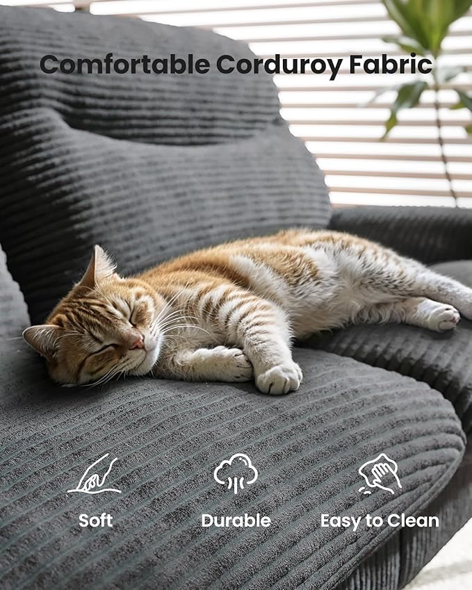 Pipishell Futon Sofa Bed, Modern 66" Futon Couch Convertible to Bed & Lounger, Compact Size, Comfortable Cushions, Durable Construction - Fits Small Spaces, Corduroy (Volcanic Gray, 66 Inch)