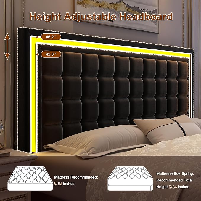 Queen Bed Frame with LED Lights & Storage Drawers, No Box Spring Needed, Heavy Duty 900lbs Weight Capacity, Easy Assembly, Modern Upholstered Platform Bed, Velvet Black