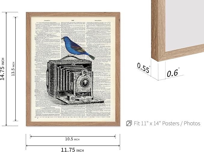 Poster Master Dictionary Art Poster - Antique Camera Print - Bird Art - Photography Art - Gift for Men, Women & Photographer - Chic Decor for Living Room, Bedroom or Office, 11x14 Beige Framed