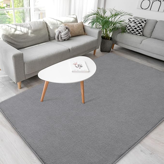 Soft Rugs for Living Room 4x6 Grey, Minimalist Area Rug for Bedroom Nursery Dining Table Dorm, Throw Rugs for Men Boys Girls Kids Room Indoor Floor Carpets