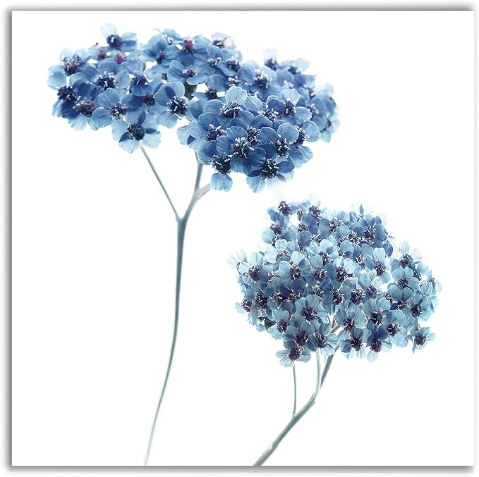 Wexford Home Gorgeous Blue III Gallery Wrapped Canvas Wall Art, 10x10,