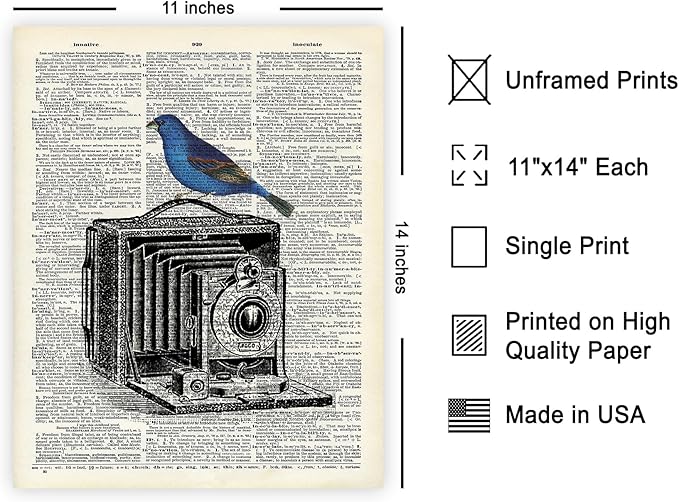 Poster Master Dictionary Art Poster - Antique Camera Print - Bird Art - Photography Art - Gift for Men, Women & Photographer - Chic Decor for Living Room, Bedroom or Office - 11x14 UNFRAMED Wall Art