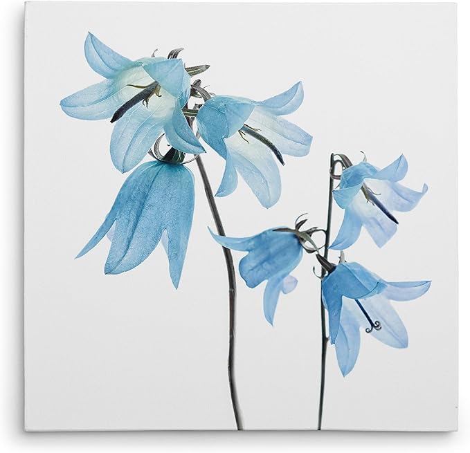 Wexford Home Gorgeous Blue IV Gallery Wrapped Canvas Wall Art, 40x40,