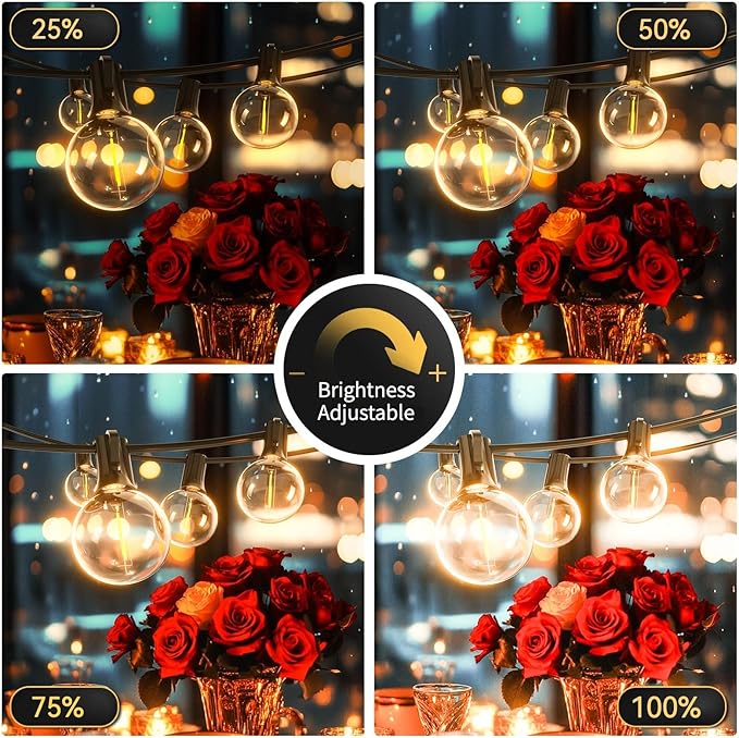 G40 Solar String Lights Outdoor with Remote 40 FT, USB & Solar Dual Charging, Waterproof, 8 Modes 3 Timers, 14+1 LED Shatterproof Bulbs, Dimmable Solar Light for Camping Backyard Bistro Porch Garden