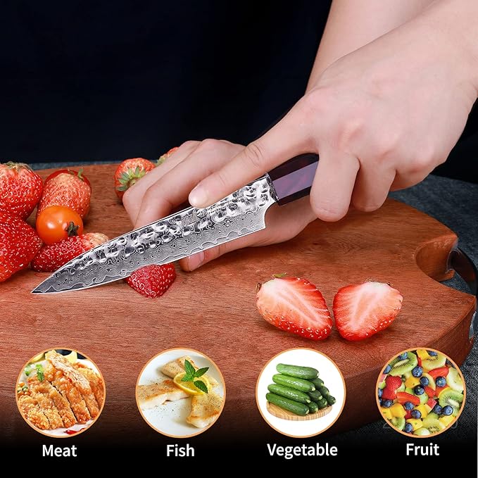 FINDKING 5 Inch Kitchen Utility Knife with ABS sheath, Multi-Purpose Japanese Paring Knife, Damascus Steel Blade, Resin Octagonal Handle, Small, for Fruits Vegetables (Eternity Series)