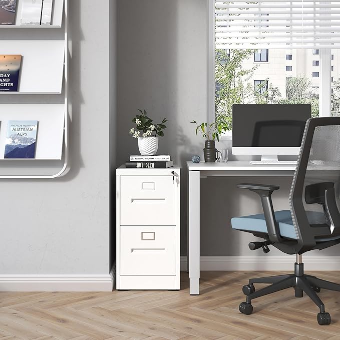 2 Drawer File Cabinet with Lock, Metal Filing Cabinets for Home Office, Vertical Narrow File Cabinet Lockable Steel Storage Cabinets for Letter/Legal/F4/A4 Size, Assembly Required(White)