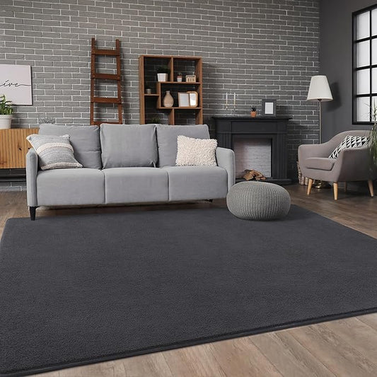 Soft Rugs for Living Room 4x6 Dark Grey, Minimalist Area Rug for Bedroom Nursery Dining Table Dorm, Throw Rugs for Men Boys Girls Kids Room Indoor Floor Carpets