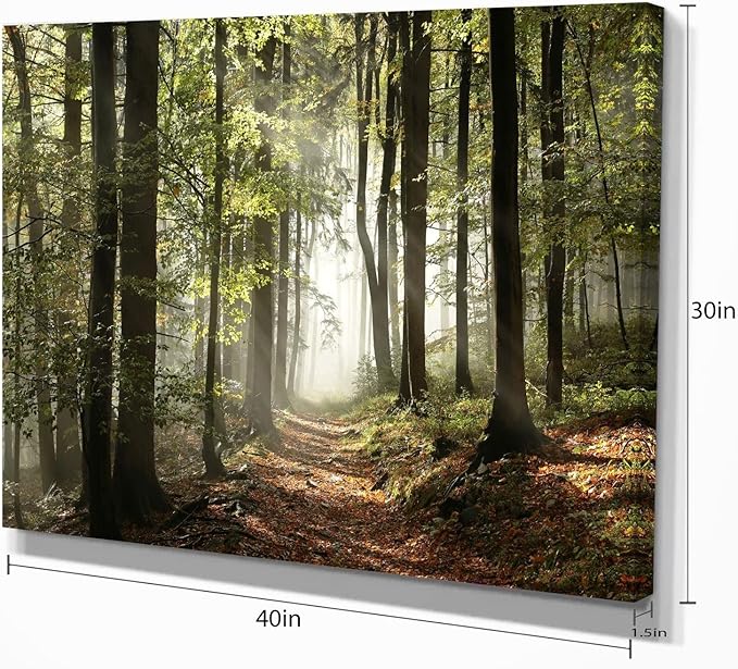 DesignArt Oversized Canvas Wall Art Décor - Green Fall Forest with Sun Rays - Forest Nature Wall Art Decor Sunshine Through Forest and Road Canvas Pictures - 30" x 40"