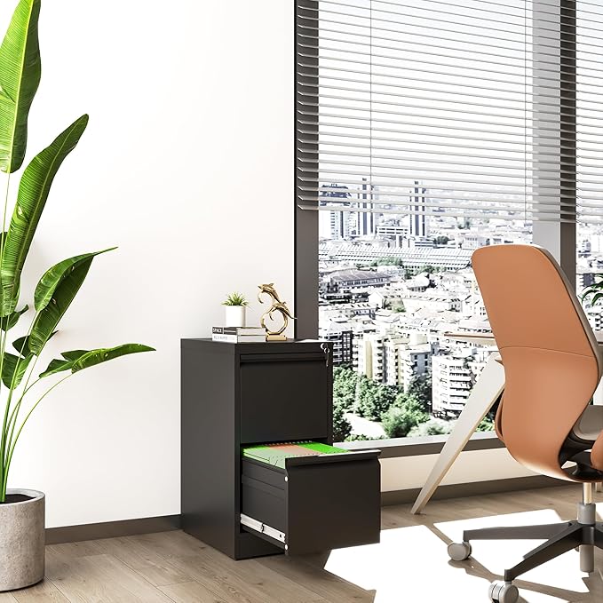 File Cabinet, Vertical File Cabinets with Lock for Home Office,Heavy Duty Office Steel Filing Cabinet for Hanging Letters/Legal/A4, Assembly Required (Black, 2 Drawers)