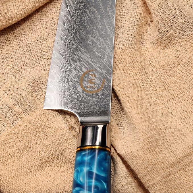Chef Knife 8 inch, Damascus Chef Knife VG10 Core Steel with 66-Layers High Carbon Professional Sharp Chefs Knife 8" Blade Ergonomic Beautiful Blue Resin Handle Gift Boxed