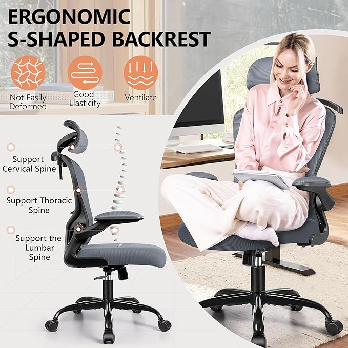 FelixKing Ergonomic Office Desk Chair with Headrest, Adjustable Lumbar Support, Height and Swivel, Comfy Task Chair with Flip-up Armrests, Ergo Mesh Backrest for Working Dark Gray
