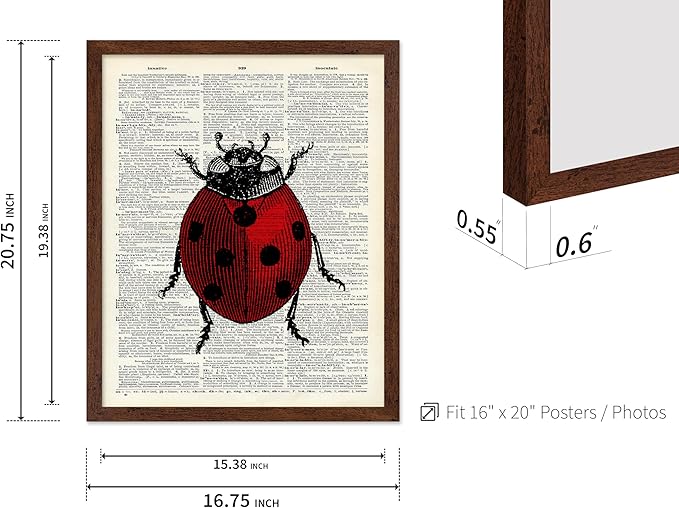 Poster Master Dictionary Art Poster - Retro Ladybug Print - Insect Art - Red Bug Art - Gift for Men, Women & Animal Lover - Minimal Decor for Living Room & Kid's Room, 16x20 Brown Framed