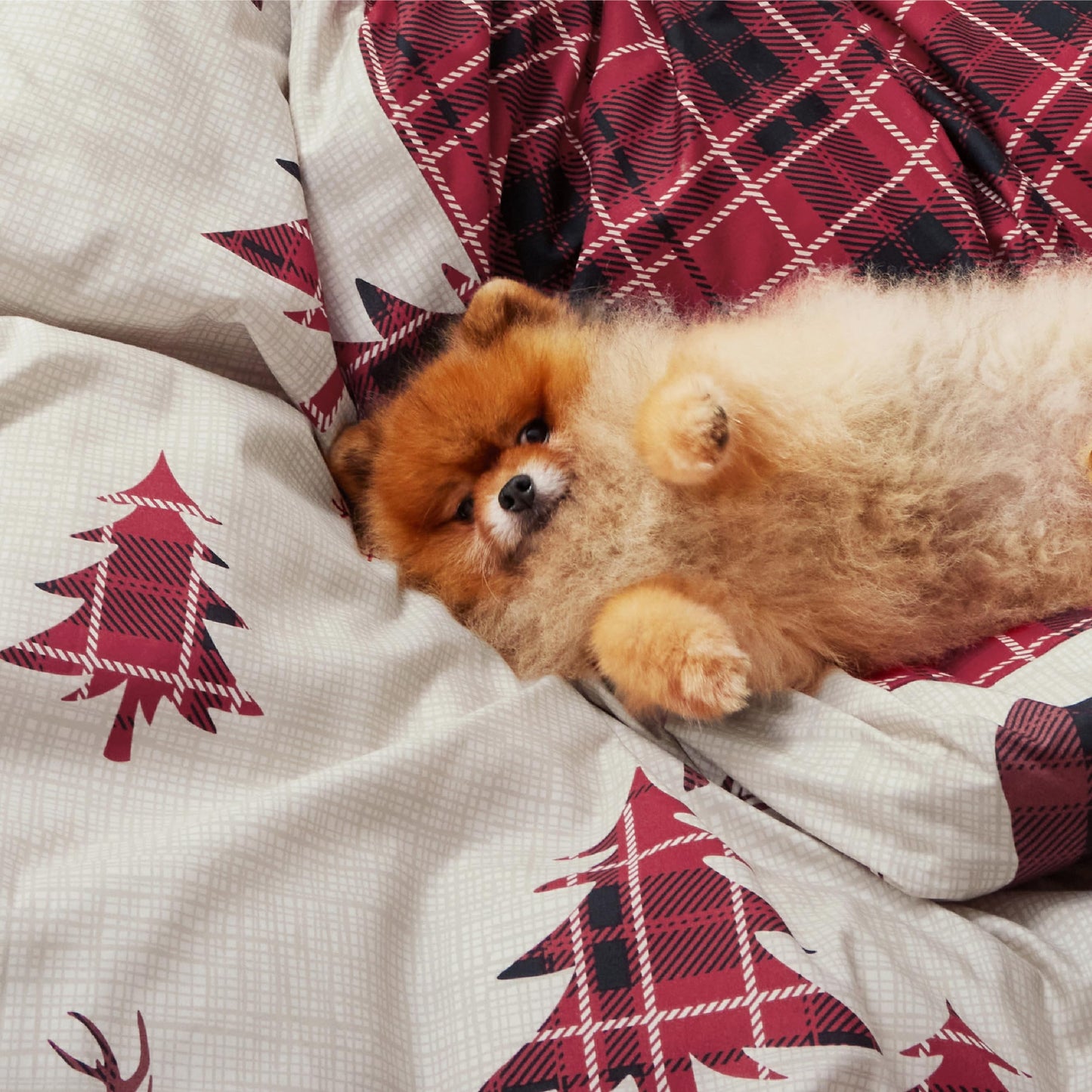 Bedsure King Size Christmas Duvet Cover Set - Festive Bedding Collection Featuring a Reversible Red Plaid Buffalo Check Design, Includes 1 Duvet Cover and 2 Pillow Shams (King, Reindeer)