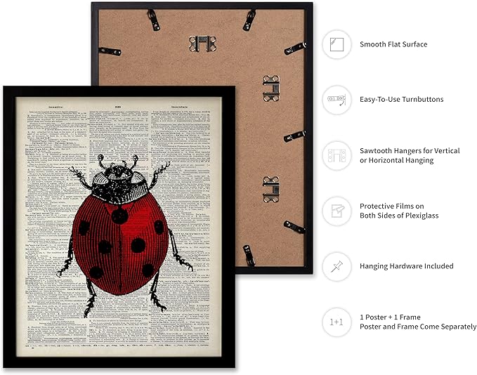 Poster Master Dictionary Art Poster - Retro Ladybug Print - Insect Art - Red Bug Art - Gift for Men, Women & Animal Lover - Minimal Decor for Living Room & Kid's Room, 16x20 Black Framed