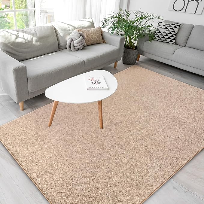 Soft Rugs for Living Room 4x6 Beige, Minimalist Area Rug for Bedroom Nursery Dining Table Dorm, Throw Rugs for Men Boys Girls Kids Room Indoor Floor Carpets