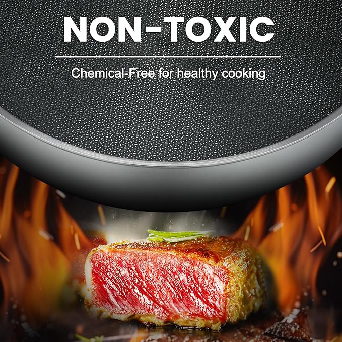 Non Stick Frying Pans,Hybrid Frying Pan with Lid,Non Toxic Frying Pans Nonstick,Stainless Steel Skillet,Dishwasher and Oven-Safe,Compatible with All Cooktops,Induction,9.5 in