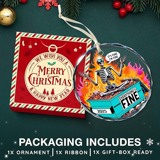 Dumpster Fire Ornament for Christmas Tree - Ideal Dumpster Fire Gifts for Him and Her - Unique Decorative Ornaments for The Holiday Season - A Sentimental Reminder of 2025 - Funny Christmas Ornaments