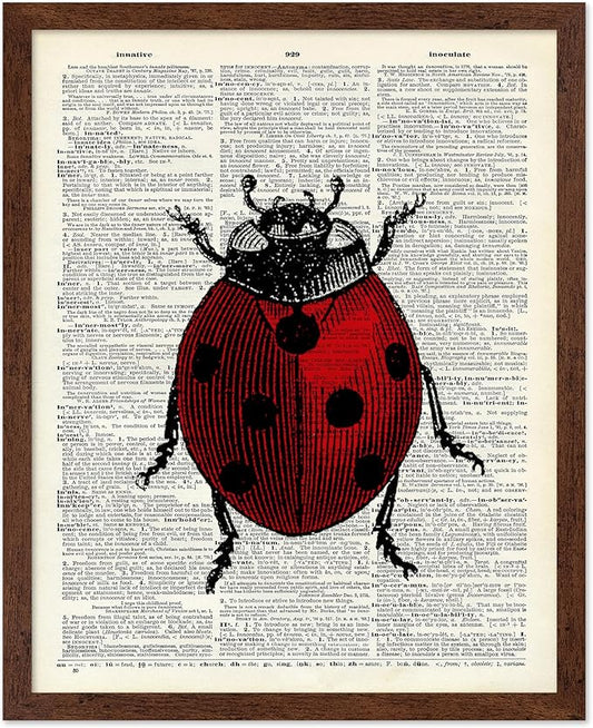 Poster Master Dictionary Art Poster - Retro Ladybug Print - Insect Art - Red Bug Art - Gift for Men, Women & Animal Lover - Minimal Decor for Living Room & Kid's Room, 16x20 Brown Framed