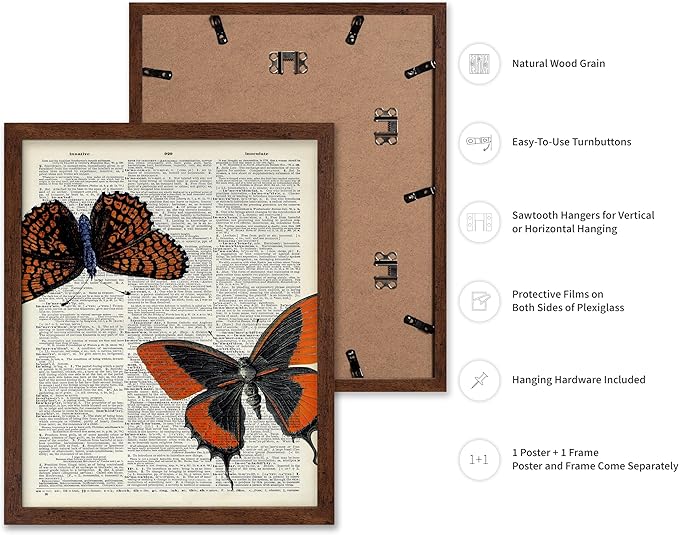 Poster Master Dictionary Art Poster - Butterflies Print - Moth Art - Butterfly Art - Insect Art - Gift for Men, Women & Animal Lover - Chic Decor for Living Room or Bedroom, 16x20 Brown Framed