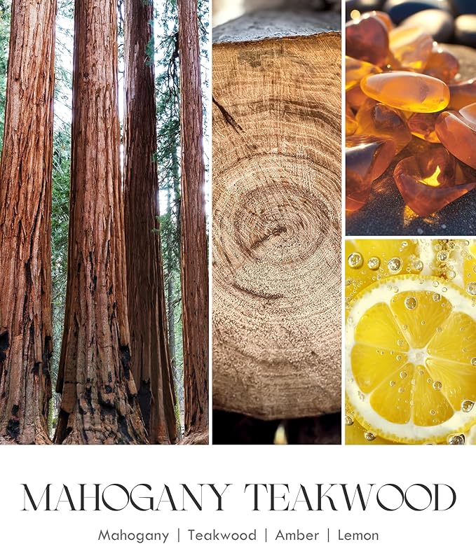 AOOVOO Scented Candles for Men - Mahogany & Teakwood Candles for Home Scented | Crackling Wood Wick Soy Candles | Strong Fragranced Masculine Black Candle Gift for Women & Men, 9oz