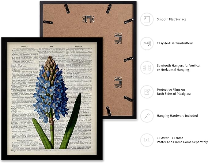 Poster Master Dictionary Art Poster - Blue Hyacinth Print - Flower Art - Floral Art - Gift for Men, Women & Florist - Minimal Decor for Bedroom, Office, Dorm or Flower Shop, 16x20 Black Framed