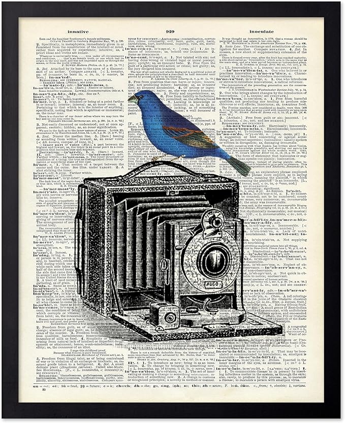 Poster Master Dictionary Art Poster - Antique Camera Print - Bird Art - Photography Art - Gift for Men, Women & Photographer - Chic Decor for Living Room, Bedroom or Office, 16x20 Black Framed