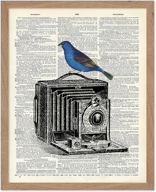 Poster Master Dictionary Art Poster - Antique Camera Print - Bird Art - Photography Art - Gift for Men, Women & Photographer - Chic Decor for Living Room, Bedroom or Office, 8x10 Beige Framed