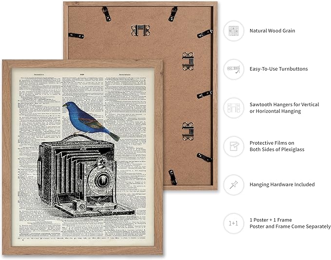 Poster Master Dictionary Art Poster - Antique Camera Print - Bird Art - Photography Art - Gift for Men, Women & Photographer - Chic Decor for Living Room, Bedroom or Office, 8x10 Beige Framed