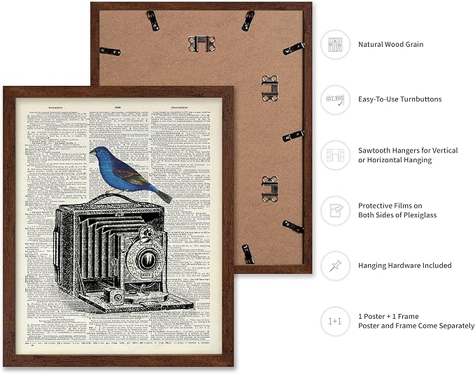 Poster Master Dictionary Art Poster - Antique Camera Print - Bird Art - Photography Art - Gift for Men, Women & Photographer - Chic Decor for Living Room, Bedroom or Office, 8x10 Brown Framed