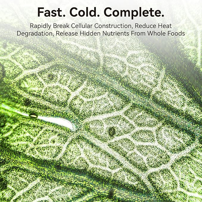 Home Blender, 1400W High-Speed Blender for Ice Crushing Power, Stainless Steel Blades, Kitchen Timer, 10 Speeds, 6 Programs for Smoothies, Frozen Drinks, Self-Cleaning, 64oz Bulk Production