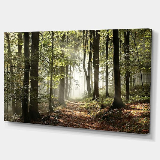 DesignArt Oversized Canvas Wall Art Décor - Green Fall Forest with Sun Rays - Landscape Canvas Print for Bedroom, Dining Room, Living Room Décor - 32" x 16"