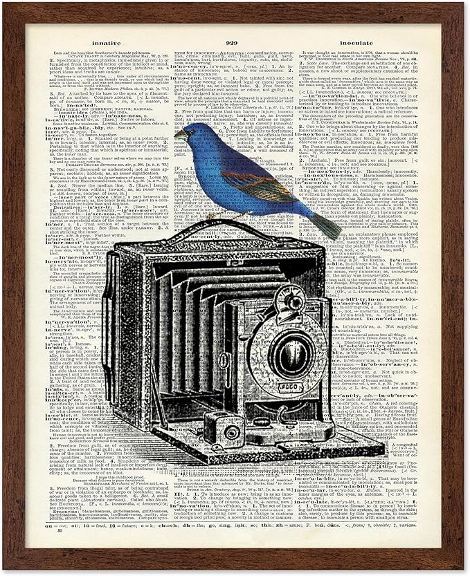 Poster Master Dictionary Art Poster - Antique Camera Print - Bird Art - Photography Art - Gift for Men, Women & Photographer - Chic Decor for Living Room, Bedroom or Office, 8x10 Brown Framed