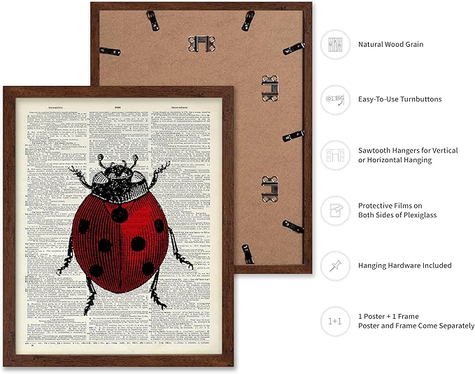 Poster Master Dictionary Art Poster - Retro Ladybug Print - Insect Art - Red Bug Art - Gift for Men, Women & Animal Lover - Minimal Decor for Living Room & Kid's Room, 16x20 Brown Framed