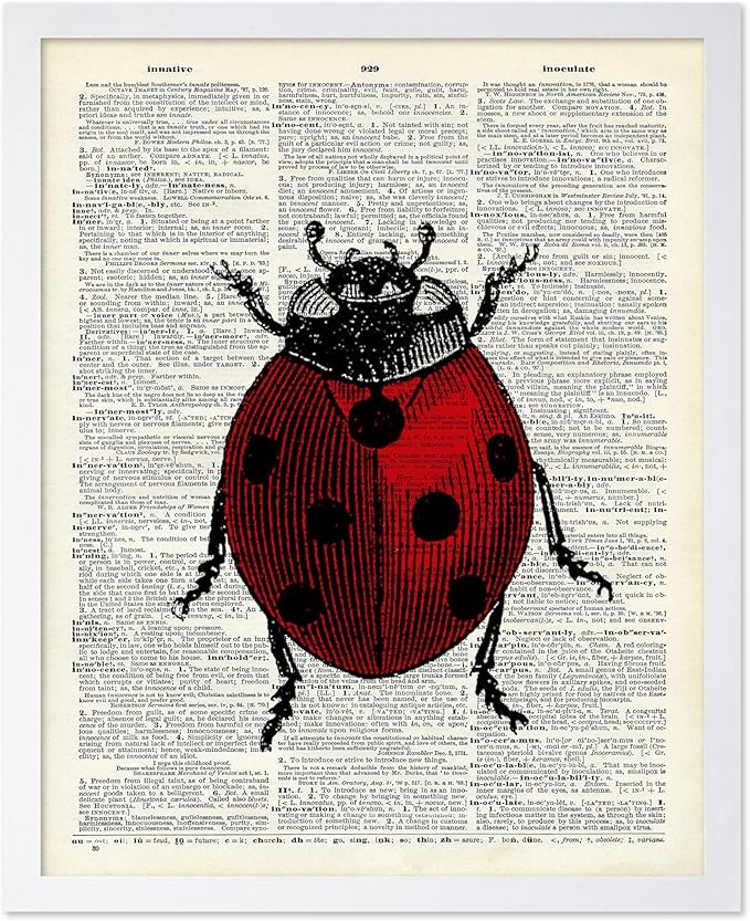 Poster Master Dictionary Art Poster - Retro Ladybug Print - Insect Art - Red Bug Art - Gift for Men, Women & Animal Lover - Minimal Decor for Living Room & Kid's Room, 8x10 White Framed