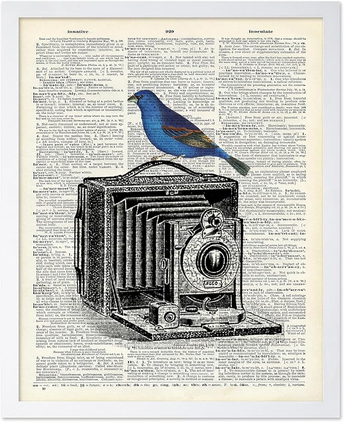 Poster Master Dictionary Art Poster - Antique Camera Print - Bird Art - Photography Art - Gift for Men, Women & Photographer - Chic Decor for Living Room, Bedroom or Office, 11x14 White Framed