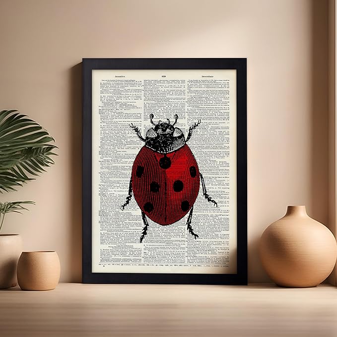 Poster Master Dictionary Art Poster - Retro Ladybug Print - Insect Art - Red Bug Art - Gift for Men, Women & Animal Lover - Minimal Decor for Living Room & Kid's Room, 16x20 Black Framed