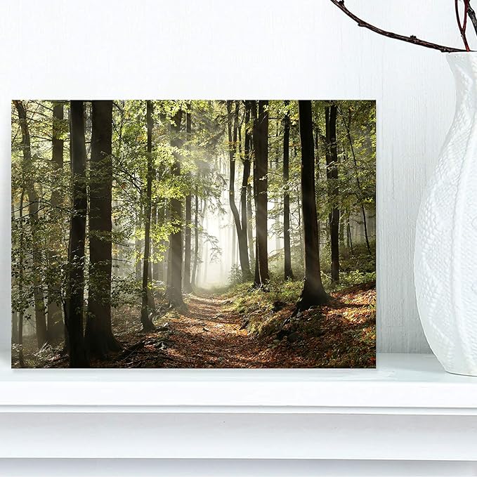 DesignArt Green Fall Forest with Sun Rays - Landscape Photography Canvas Print, Country Charm, Wall Art to Decorate Your Living Room and Bedroom, Green, Made Of Wood & Cotton Material- Large Sizes