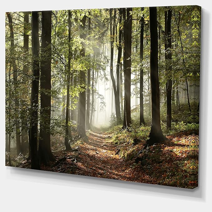 DesignArt Oversized Canvas Wall Art Décor - Green Fall Forest with Sun Rays - Forest Nature Wall Art Decor Sunshine Through Forest and Road Canvas Pictures - 30" x 40"