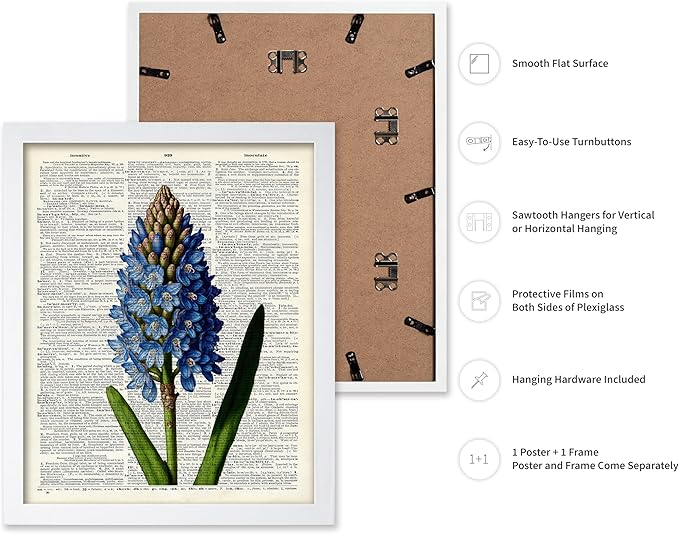Poster Master Dictionary Art Poster - Blue Hyacinth Print - Flower Art - Floral Art - Gift for Men, Women & Florist - Minimal Decor for Bedroom, Office, Dorm or Flower Shop, 16x20 White Framed