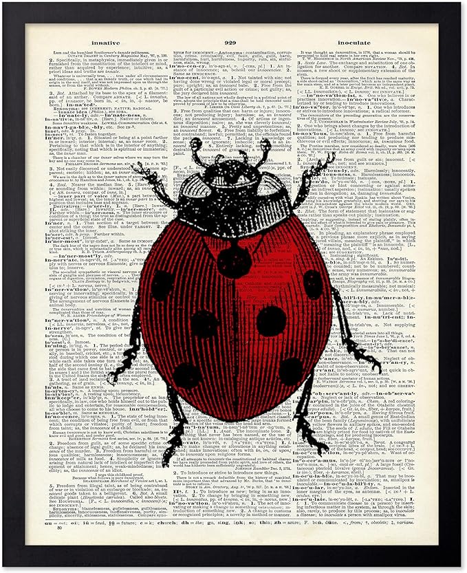Poster Master Dictionary Art Poster - Retro Ladybug Print - Insect Art - Red Bug Art - Gift for Men, Women & Animal Lover - Minimal Decor for Living Room & Kid's Room, 16x20 Black Framed